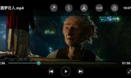 特片手机在线观看,在线观影新体验，畅享影视盛宴